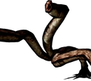 Bloodsucker