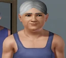 Sims by school (fanon)