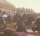 Starlight Shores