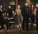 Season 8