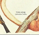 Terratail