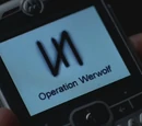 Operation Werwolf