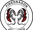 Firedragon - Anerkannte Kampfsportschulen