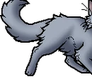 Mistystar