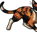 Tawnypelt