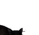 Night of No Stars