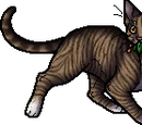 Leafpool