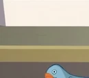 Chicko