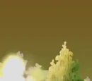 Oppositus