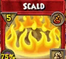 Scald