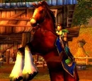Cheval (monture)