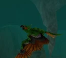 Sunwing Squawker