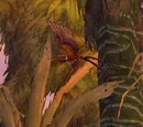 Diseased Vulture