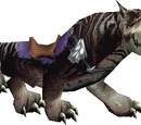 Saber cat