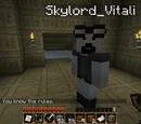 Skylords