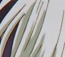 Toshin Raizen