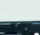 Adjusted Iron Sights