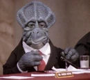 Mr. Harold Heffer