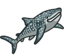 Whale Shark