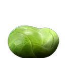 Sprout (food)