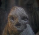 Fragglewump