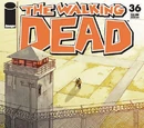 The Walking Dead Vol 1 36