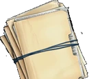 Set of Illegal Transaction Records