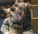 Bubba the Bartender