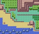Hoenn Route 118