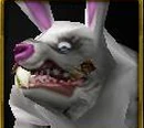 Funny Bunny