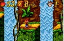 Jungle jam.png