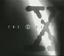 Los expedientes secretos X