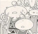 Plant Village Mayor