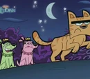 Jimmy the Cat