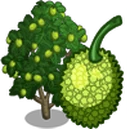 Breadfruit Tree-icon.png