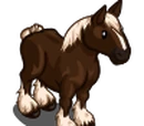 Comtois Horse