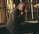 Plot to murder Peter Pettigrew