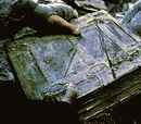 Book of Mazarbul