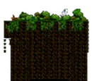 Secret Swamp