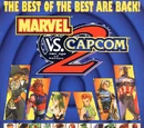 Marvel vs. Capcom 2: New Age of Heroes