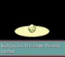 Bad EGG