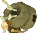 Odd Old Man