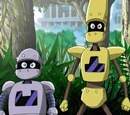 Decoe and Bocoe