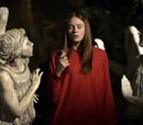 Flesh and Stone (TV story)