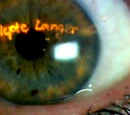 The Curse of Clyde Langer (TV story)