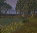 Wetlands