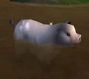 Ling
