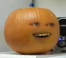 Pumpkin