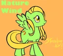 Nature Wind