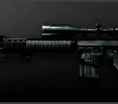 SR25